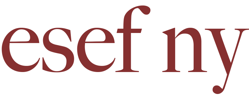 esef ny
